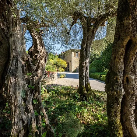 Villa Tenuta Sagherina 8, Emma Cortona